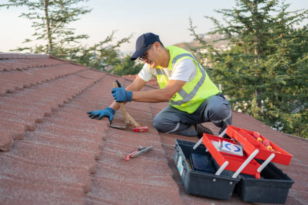 Best New Roof Installation  in Boaz, WV